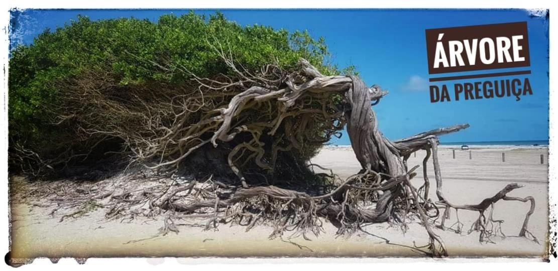 Casa A 3 Minutos Do Aeroporto De Jericoacoara Villa Екстериор снимка